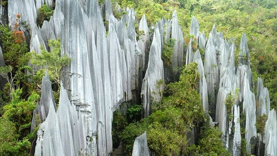 姆鲁山国家公园 Gunung Mulu National Park